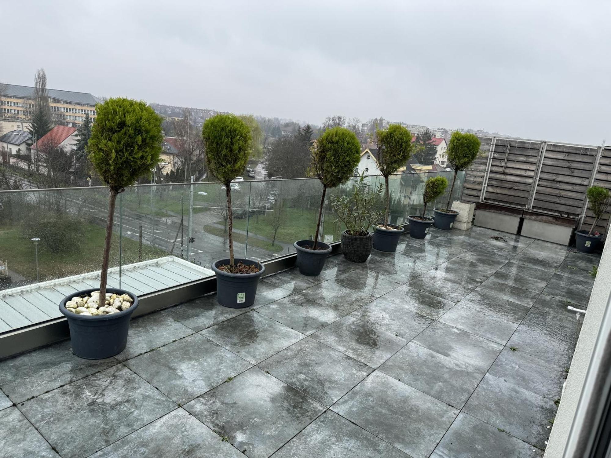 Apartment Paskal Rose Luxury Penthouse With Free Parking