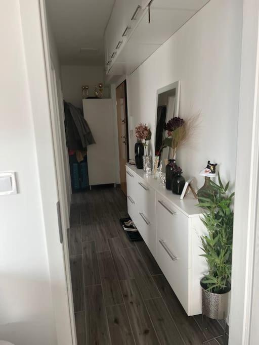 Paskal Rose Luxury Penthouse With Free Parking * Budapest